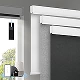 Motorized Blinds with Remote, [Free Solar