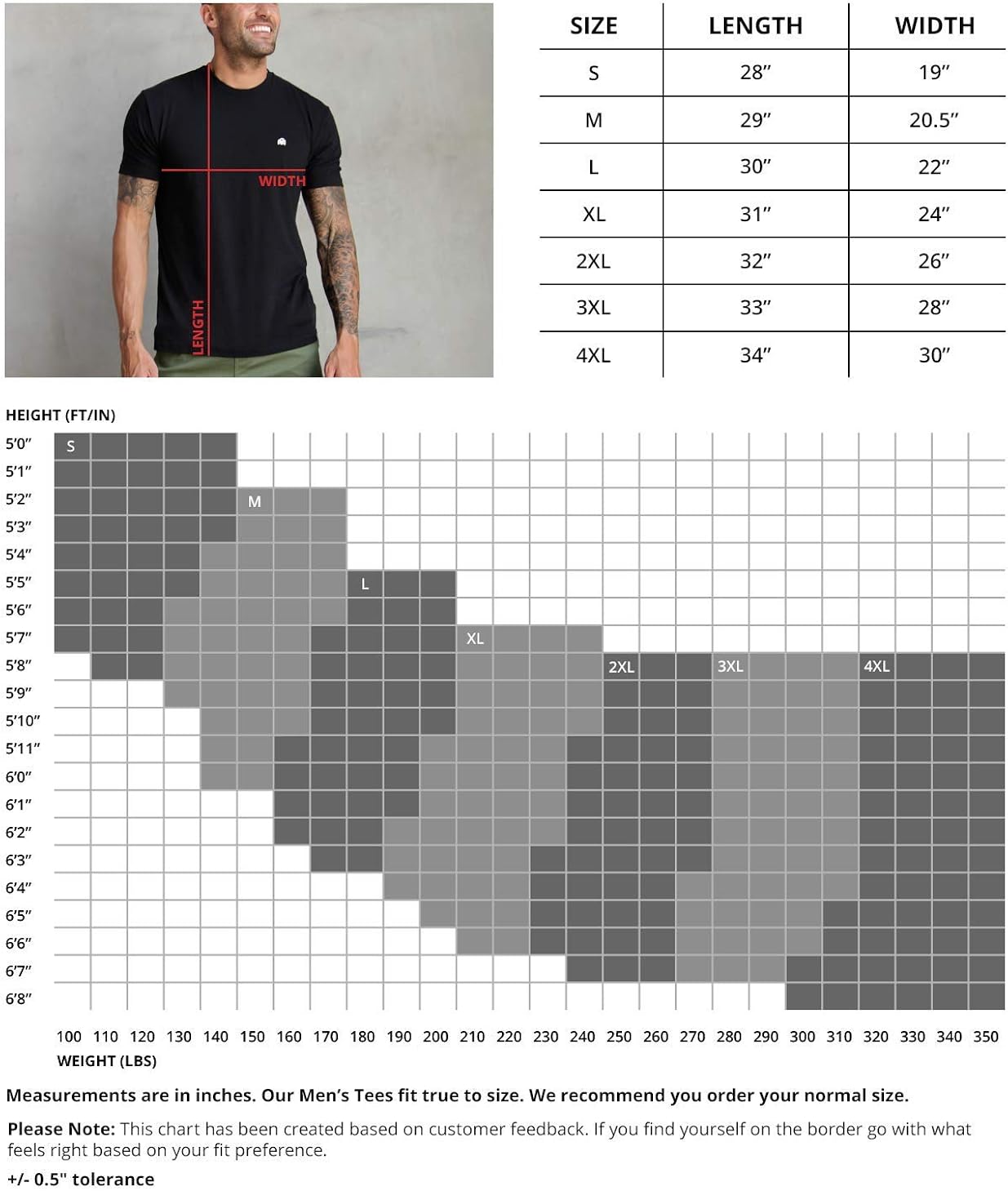 INTO THE AM Men's Basic Crew Neck Tees - Soft Modern Fitted Logo T-Shirts: Clothing