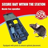 The Big Cheese Rat & Mouse Bait Station Reusable Tamper-Resistant view 4
