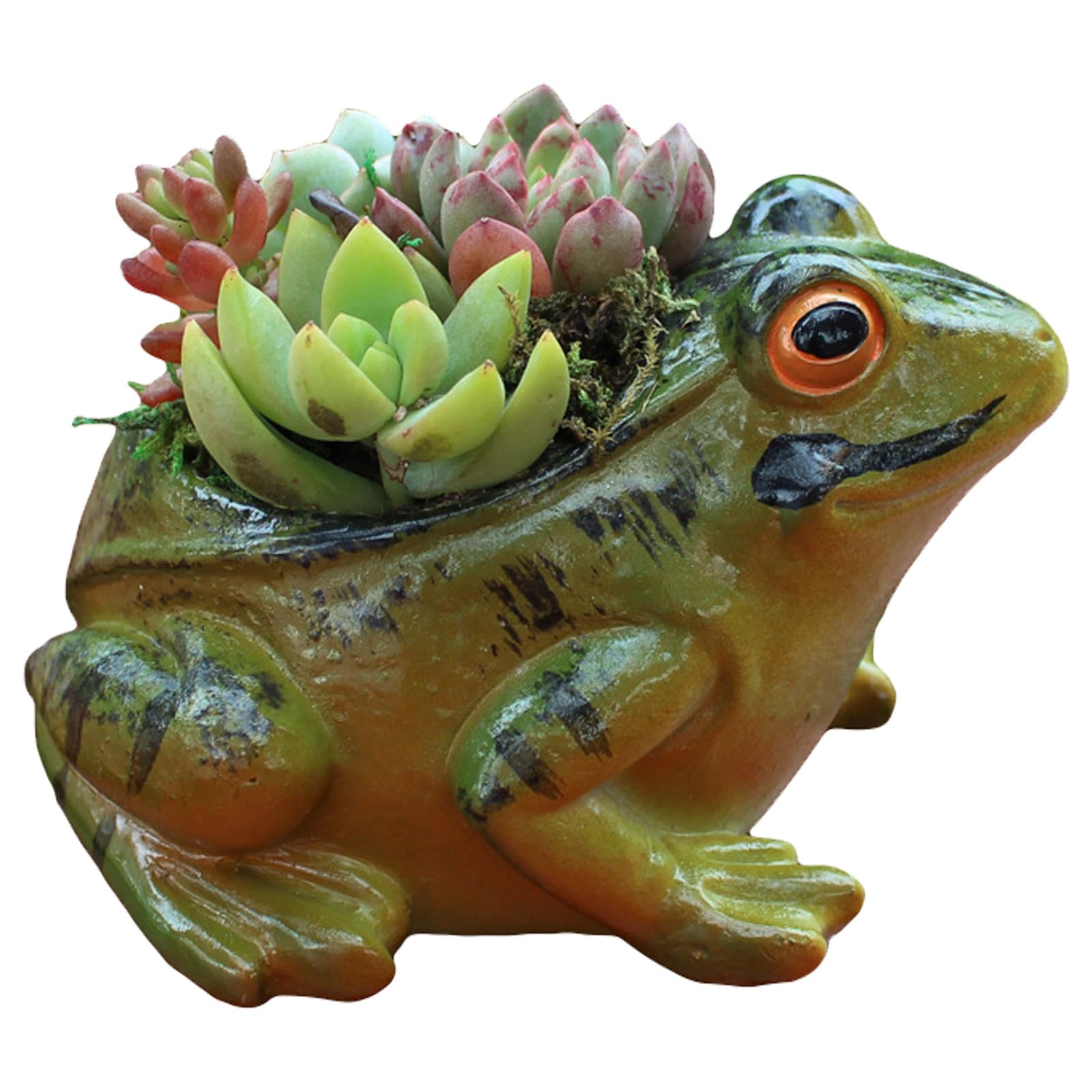 Photo 1 of DTSFHTDAL Resin Frog Succulent Planter, Cute Frogs Flower Pot for Indoor Plants Mini Animal Cactus Pots Decorative Desk Planter for Home Office Garden Small Succulent Container Vintage Frog Plant Pot