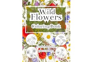 Wildflowers Coloring Book with English & Latin Plant Names, Beautiful Field Flowers to Color for Relaxation, Learning & Mindf