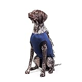 E-Collar Alternative for Cats and Dogs Designed to