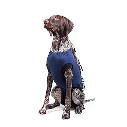 E-Collar Alternative for Cats and Dogs Designed to