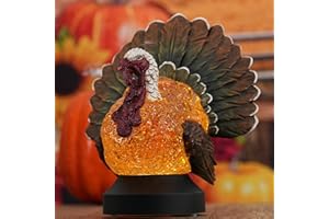 SESCHRIST Thanksgiving Snow Globe, Battery & USB Operated Thanksgiving Decorations for Home, LED Lighted Turkey Shape Snow Globe Lantern for Thanksgiving Fall Autumn Harvest Tabletop Decorations