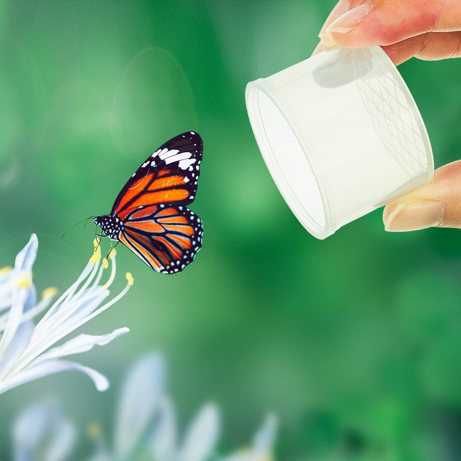 30 Pieces Bug Catcher Viewer Transparent Critter Container Small Cage Magnifying Box Container for Boys and Girls Science Nature Exploration Toys: Toys & Games