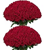 DuHouse 50Pcs Red Roses Artificial Flowers,Fake Velvet Rose Bulk, Artificial Roses Bouquet with Long Stems for Wedding Party Arrangement Centerpiece Decorations(Red)