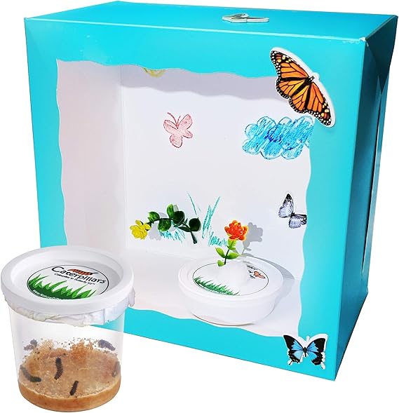 coleen butterflies gift set