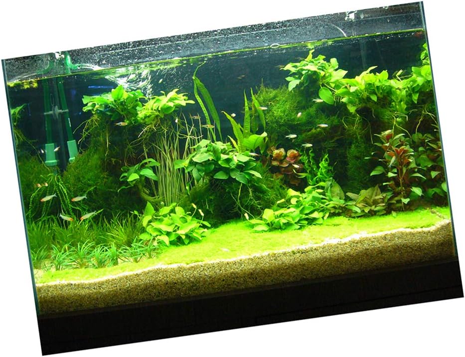 3d Printed Aquarium Decorations 2025