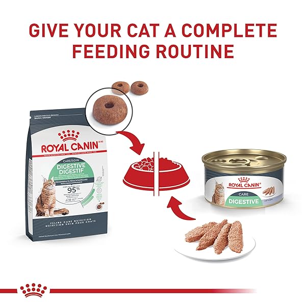 ROYAL CANIN FELINE CARE NUTRITION DIGESTIVE CARE ADULT LOAF IN SAUCE CAT FOOD, 3 OZ (PACK OF 24)