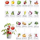 HIENAJ 20Pcs Garden Signs for Vegetables 20 Styles Garden Markers for Vegetables Outdoor Garden Labels Markers Waterproof Reusable Plant Stakes Tags with Names for Vegetable Indoor Outdoor Decoration