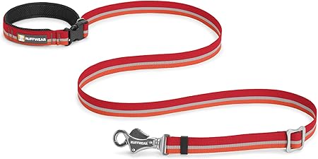 siamese x kittens for sale