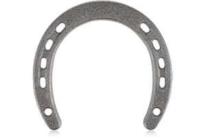 Year of the Horse Decoration Chinese Cast Iron Horseshoe Wall Decor Mini Horseshoes Wagon Wheel Crafts Sturdy Lucky for Chris