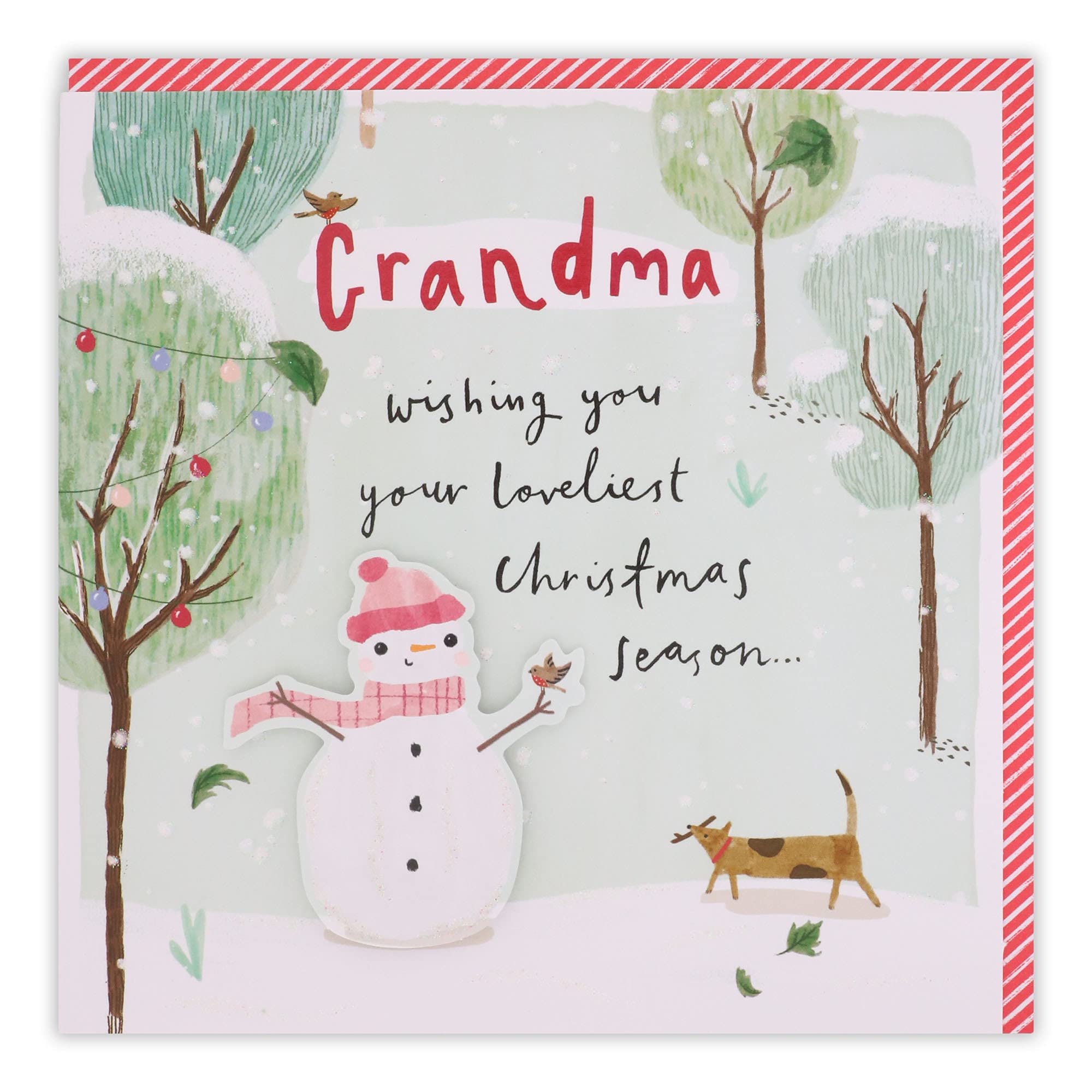 Clintons: Mrs Snowman & Dog Grandma Christmas Card, Multi-Colour, 165 x 165, 1149074