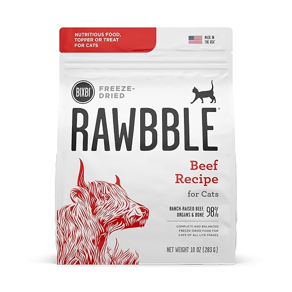 BIXBI RAWBBLE FREEZE DRIED CAT FOOD, BEEF RECIPE, 10 OZ – 97% MEAT AND ORGANS, NO FILLERS – PANTRY-FRIENDLY RAW CAT FOOD FOR MEAL, TREAT OR FOOD TOPPER – USA MADE IN SMALL BATCHES