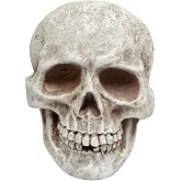 Yorkmills Halloween Skull Wall Decor Skeleton Head Statue for Table Display | Hanging Skeleton for Halloween Party Home Decoration Indoor Outdoor, Resin Skulls Halloween Decor for Wall, Tree, Table, Door