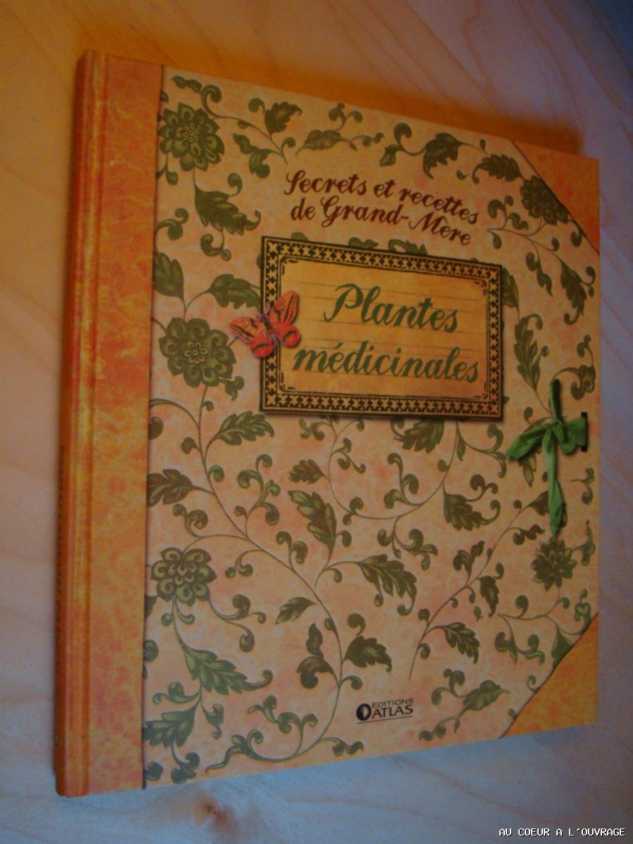 Amazon Fr Secrets Et Recettes De Grand Mere Plantes Medicinales Sylvie Girard Lagorce Livres