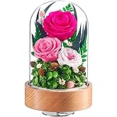 Eterfield Flowers for Delivery Prime, Valentine’s Day Preserved Roses Gifts for Women - Forever Flower in Glass Dome Birthday Gifts for Mom Wife Grandma Her (Hot Pink, Cylindrical)