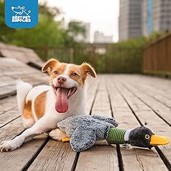 Best Pet Supplies Interactive Squeaky Dog Chew