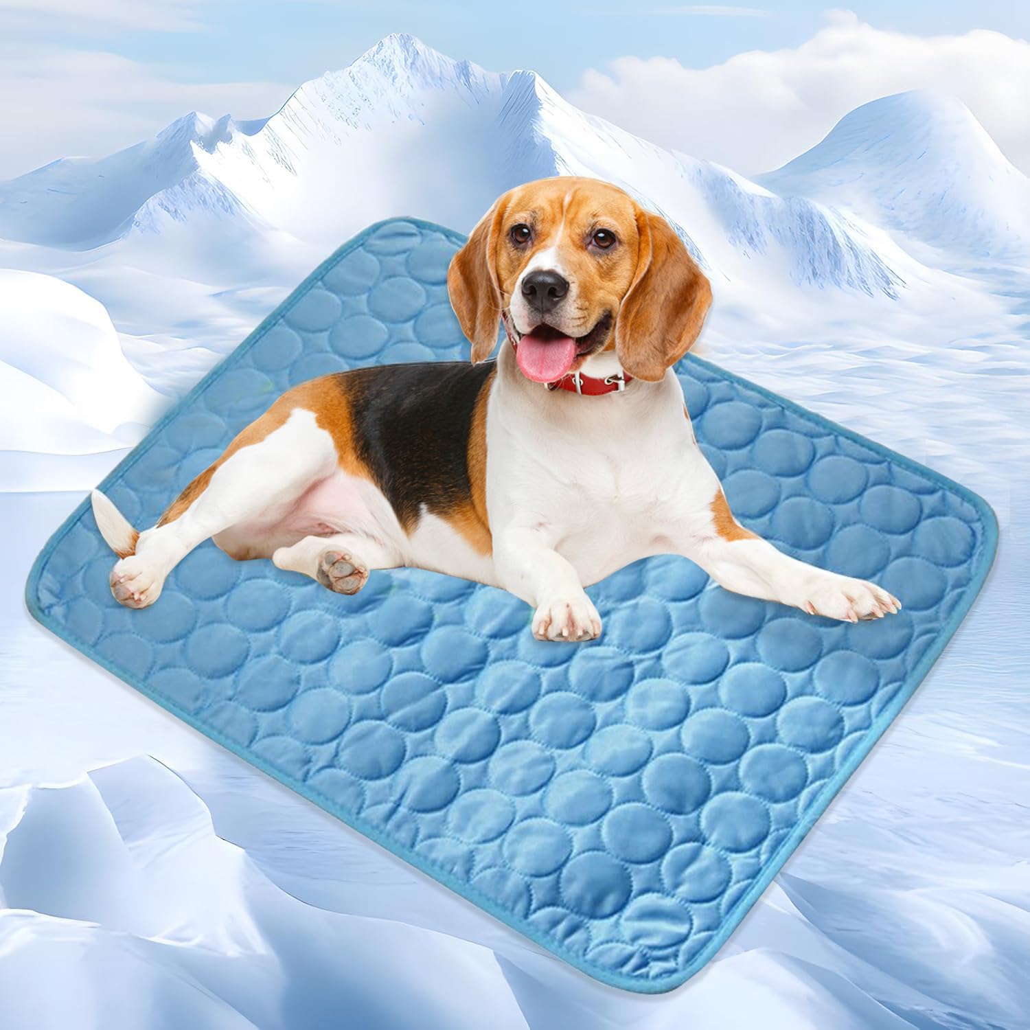 Photo 1 of Kittra Dog Cooling Mat,Washable Portable Coolings Pad for Pet Dogs & Cats Sleeping Mat for Indoor & Outdoor Use, Keep Cooling for Pets(Blue,27.6" L x 21.7" W)