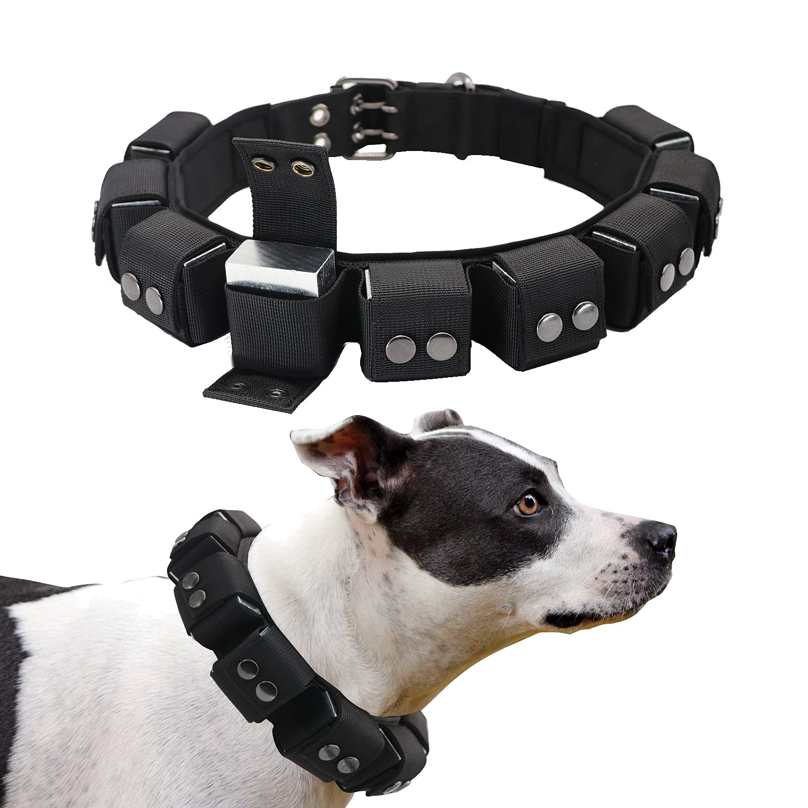 Walktime Tactical Weighted Dog Collar - Weights for Training & Exercise - Small, Medium, Large Dogs