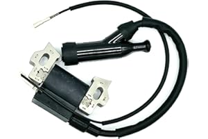 BHABAGALUSHKI OZOZLINSH ZERO 250 LOUGFELTEY Ignition Coil Module Compatible with Champion Power Equipment 100251 Log Splitter 25 Ton