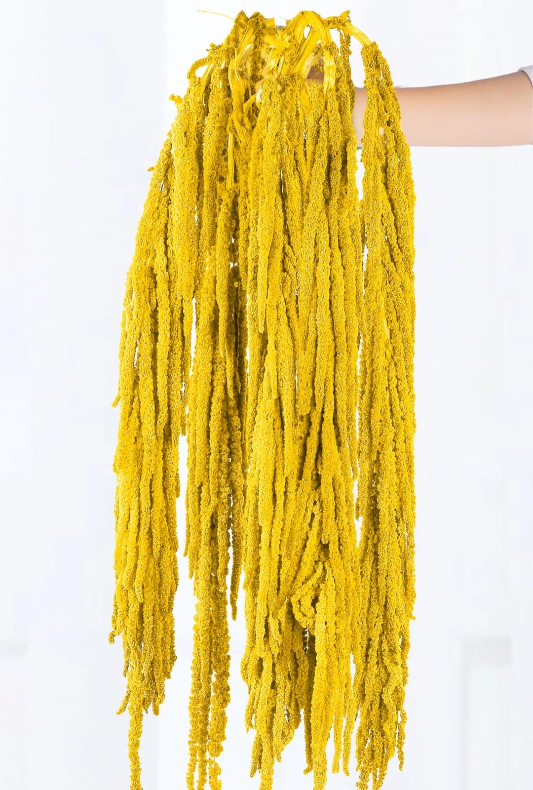Photo 1 of 5Pcs Vintage Yellow Dried Amaranthus Flowers - 23" Natural Dye Yellow Preserved Amaranthus Stems, Yellow Greenery Dried Flowers for Wedding Decor, Wall Hanging, Arch, Floral Arrangement