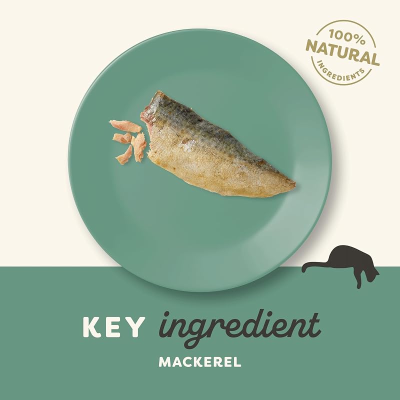 100% Natural Cat Treat Snack Whole Mackerel Loin para gatitos, adultos y gatos mayores - Paquete de 12 bolsitas de 30 g