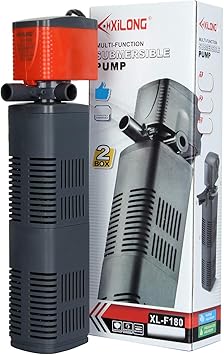 guinea pig black white