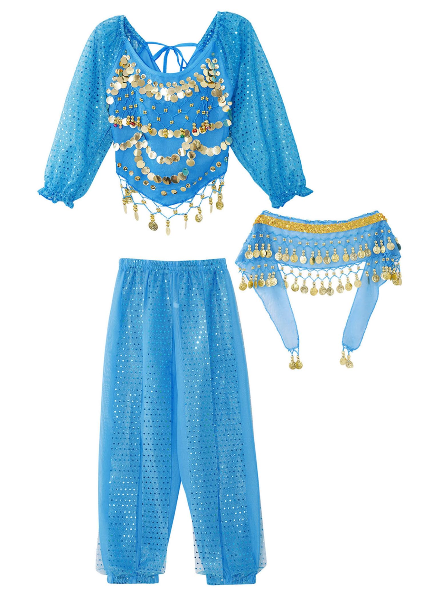 Sequin Tassel Belly Dance Hip Scarf Stage Performance Costume