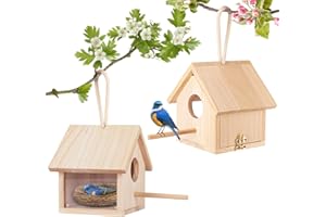 GINDOOR 2Pcs Bird Houses for Outside Clearance with Pole, Wood Birdhouse Blue Bird House Birdhouses for Outdoors Hanging Garden Patio Decorative for Swallow Sparrow Hummingbird Finch Throstle