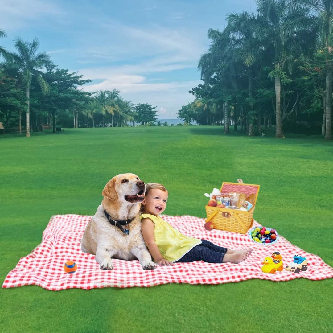 BBBUNNY Picnic Blankets Portable Beach Blanket Waterproof Outdoor Blanket Machine Washable Beach Mat Oversized Picnic Mat Great for The Beach（Red, white and blue stripes） : Garden & Outdoor
