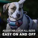 Embark Pets Urban Dog Harness No Pull Front Back Clips Adjustable view 5