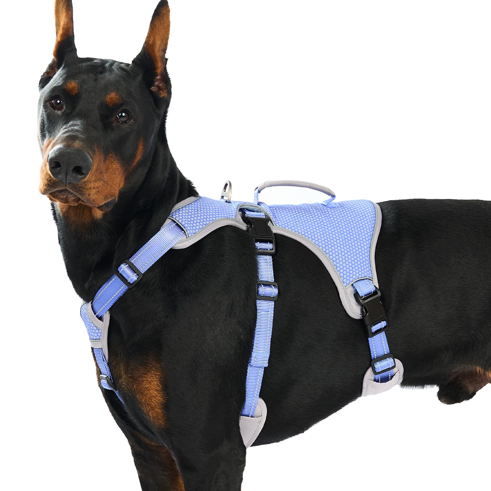 Huntboo Adjustable Reflective Dog Harness - Medium to XL, Breathable Vest for Small to Large Dogs - Walking, Training, Running (Purple)