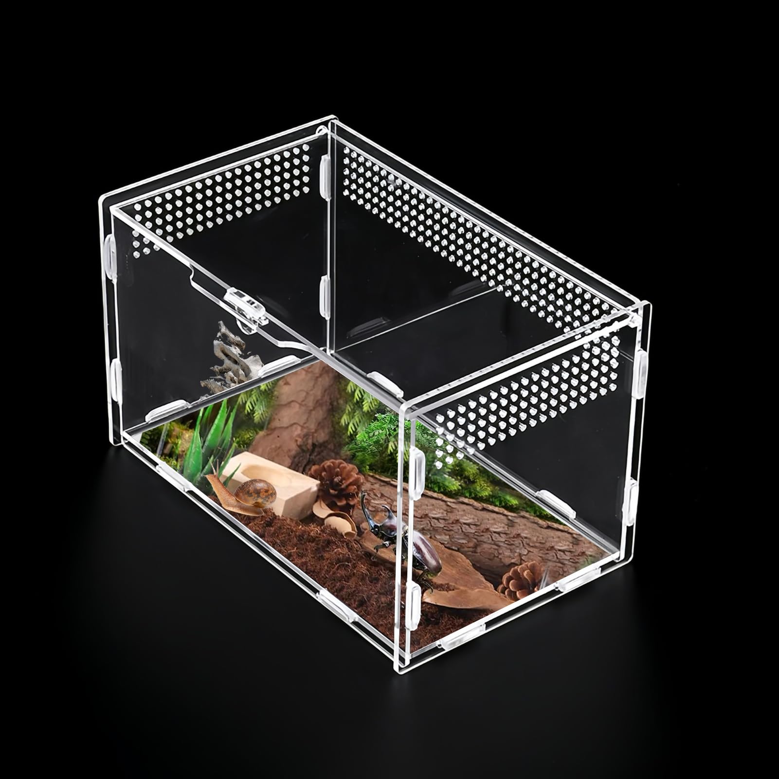 Reptile Terrariums Stick Insect Enclosure 20×12×12cm Transparent Acrylic Reptile Feeding Box Insect Habitat Terrarium Case for Spider Lizard Scorpion Geckos Centipede Horned Frog Beetle Mantis