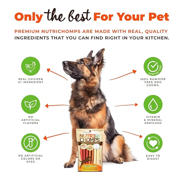 NUTRI CHOMPS DOG CHEWS, 5-INCH TWISTS, EASY TO DIGEST, RAWHIDE-FREE DOG TREATS, 15 COUNT, REAL CHICKEN, PEANUT BUTTER AND MILK FLAVORS