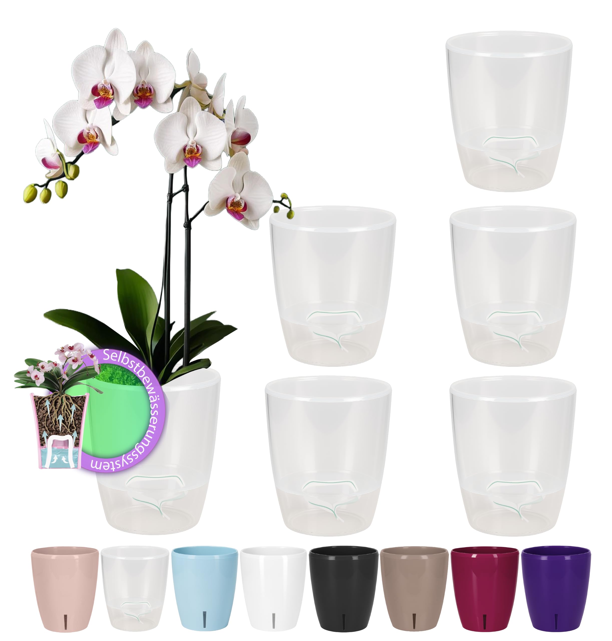 Santino SET OF 6 ORCHIDEA Self-Watering Orchid Pot - 12CM Self-Watering Decorative Planter with Wick System and Water Level Indicator (Ø 12.5 cm, H 15 cm, 1.3L - Transparent)