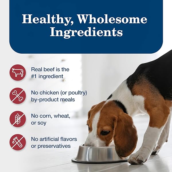 BLUE BUFFALO HOMESTYLE RECIPE NATURAL ADULT WET DOG FOOD, BEEF 12.5-OZ CAN (PACK OF 12)