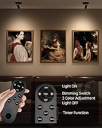 EZVALO Spotlights Indoor with Remote,5500mAh