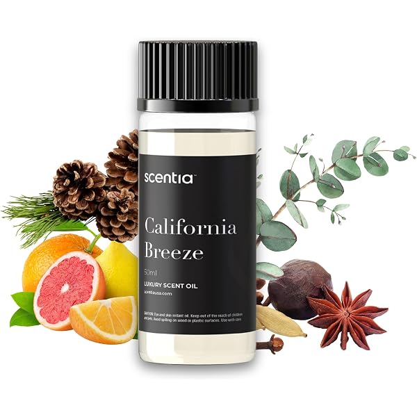 thumbnail image 2 of California Love 500mL Diffuser Oil - Delano Beach & Hotel Collection Scent - AROMA COLLECTION 2 of 4