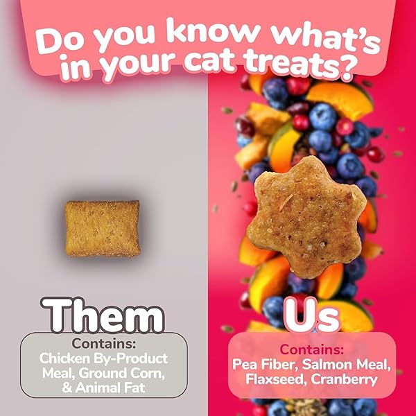 FRUITABLES CAT TREATS, HEALTHY TREATS FOR CATS, LOW CALORIE AND PACKED WITH PROTEIN, CRUNCHY BISCUITS, NO WHEAT, CORN OR SOY, MADE WITH REAL SALMON AND CRANBERRY, 2.5OZ