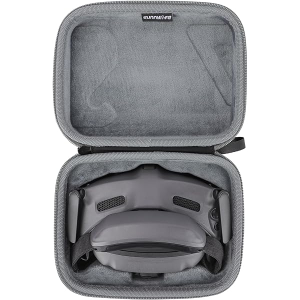 Amazon.com: Anbee Goggles 2 Carrying Case, Portable Hard Case