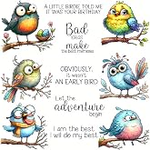 LZBRDY Fat Funny Birds Wish Words Clear Stamps and Cutting Dies - Perfect for DIY Scrapbooking, Art, and Card Decor