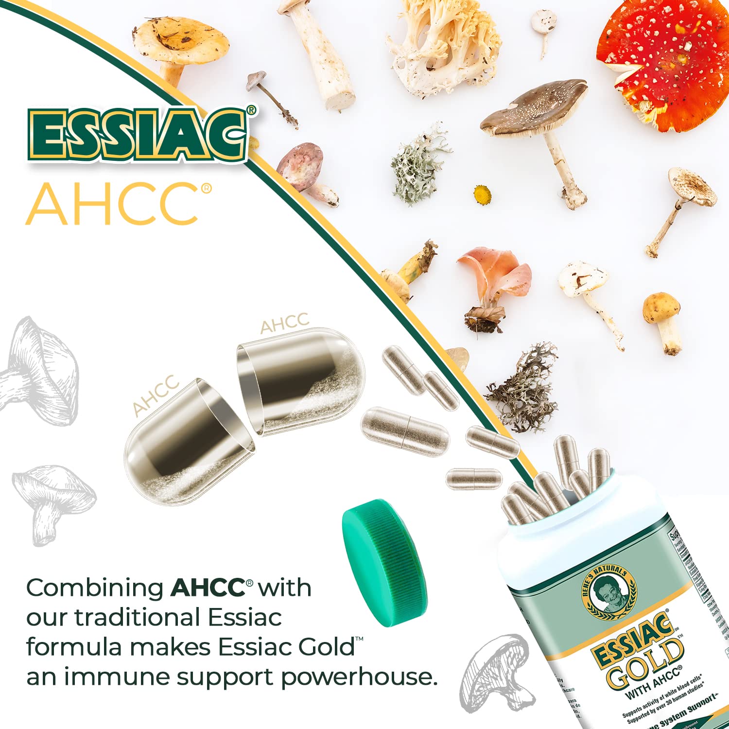 Essiac Gold® with AHCC® – Premium Immune System Booster – 60 Herbal Capsules