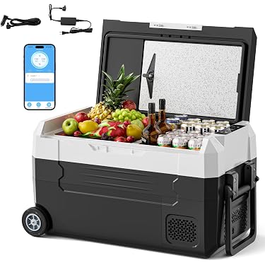 Amazon Best Sellers: Best Automotive Interior Coolers & Refrigerators