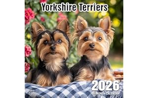 Yorkshire Terriers 2026 Calendar