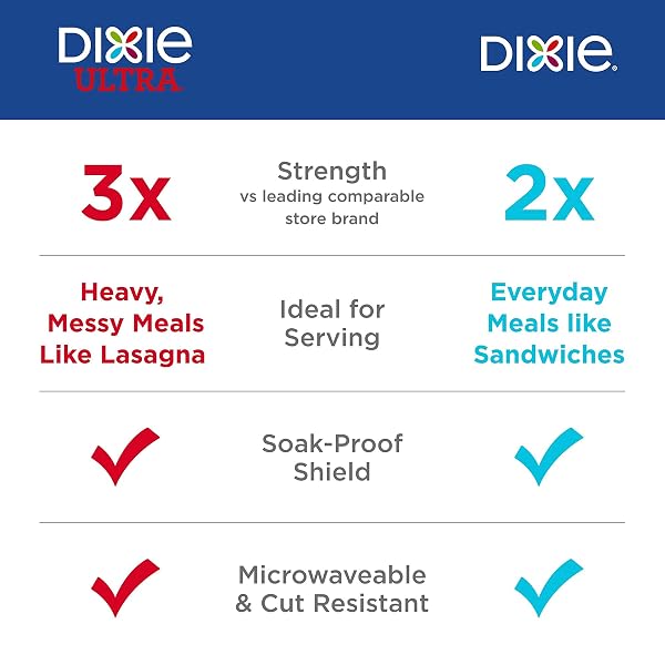 DIXIE PAPER PLATES, 10 1/16 INCH, DINNER SIZE PRINTED DISPOSABLE PLATE, 150 COUNT (1 PACK OF 150 PLATES)
