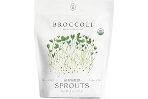 SERENISEED Organic Broccoli Sprout Seeds (8 oz) – Non-GMO, Heirloom Seeds for Sprouting and Microgreens