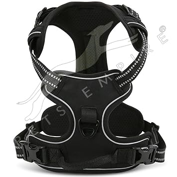 Pets Empire Padded Easy Fit Dog Chest Harness Car with Front Clip Adjustable Soft Mesh Handle for Large Dogs, Medium (Colour May Vary) - 1 Piece