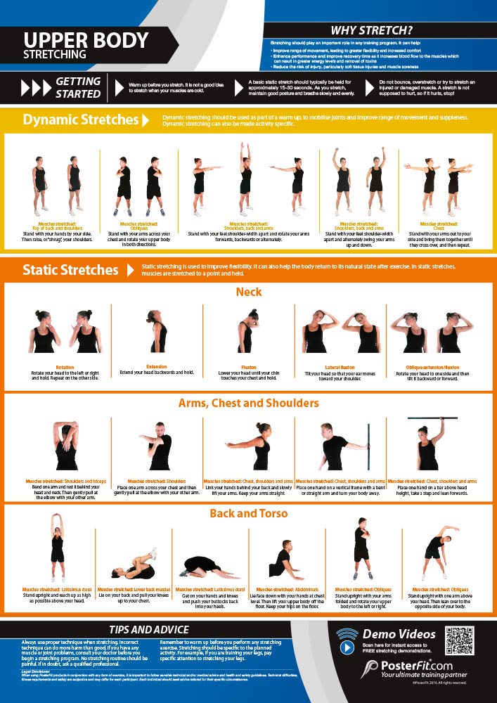 Upper Body Stretching | Dynamic & Static Stretches | Laminated Home & Gym Poster | FREE Online Video Training Support | Size - 841mm x 594mm (A1) | Improves Personal Fitness & Flexibility