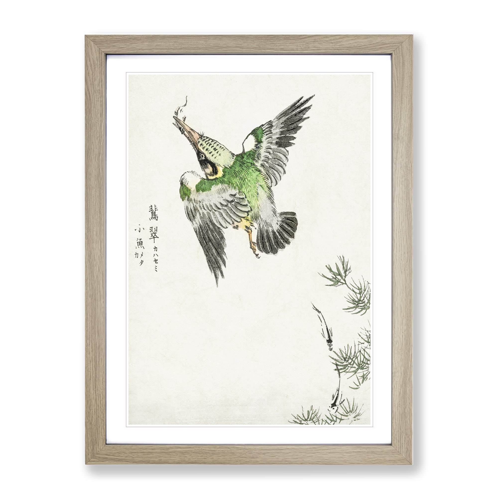 Japanese Common Kingfisher By Numata Kashu Asian Japanese Framed Wall Art Print, Ready to Hang Picture for Living Room Bedroom Home Office Décor, Oak A4 (34 x 25 cm)